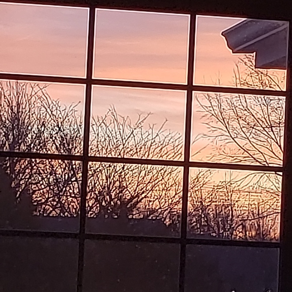 Meet your Posher, Theresa